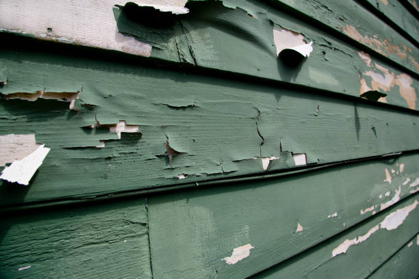 Best Hoarding Cleanup  in Healdsburg, CA